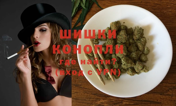 гашик Покровск