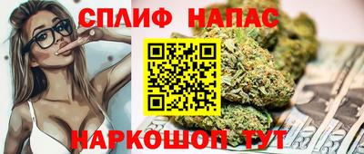 прущие грибы Волжск