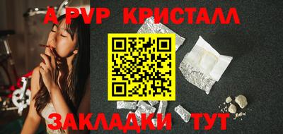 твердый Бийск