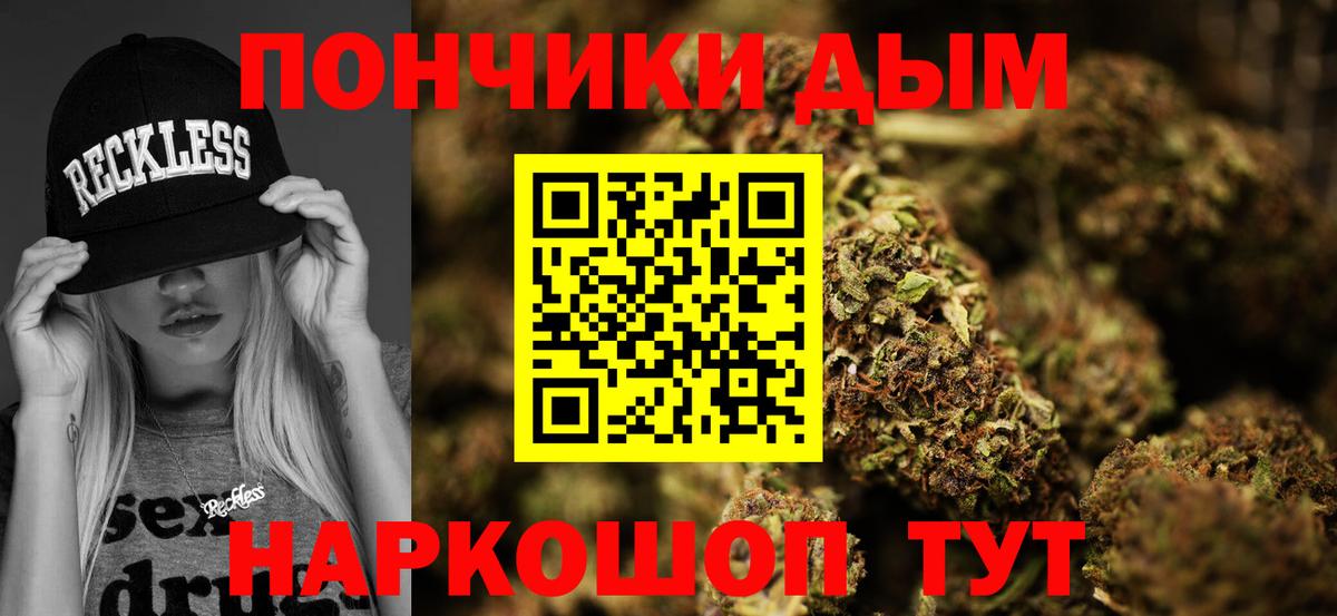 Марихуана сатива Гусев